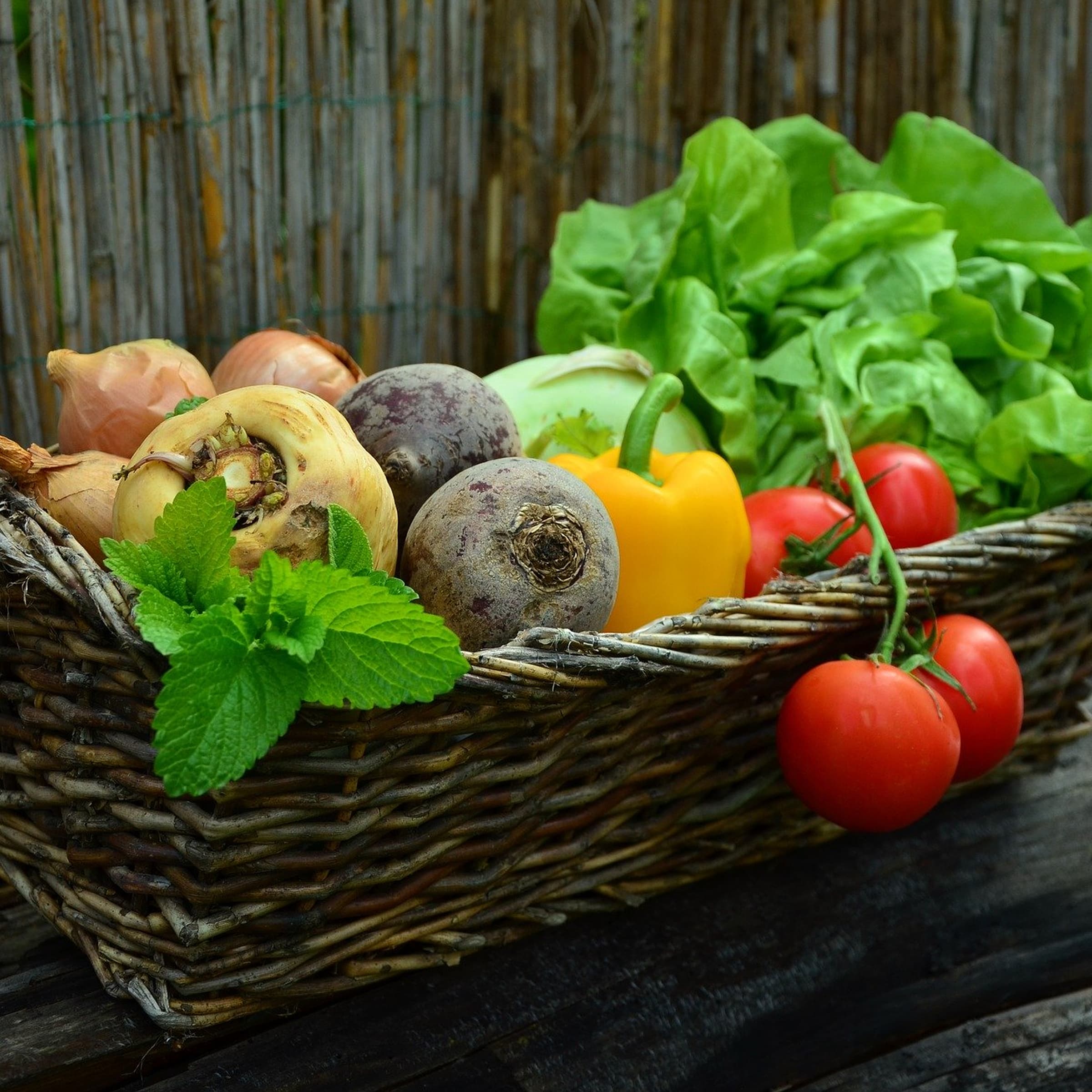 Metz Veggie Festival