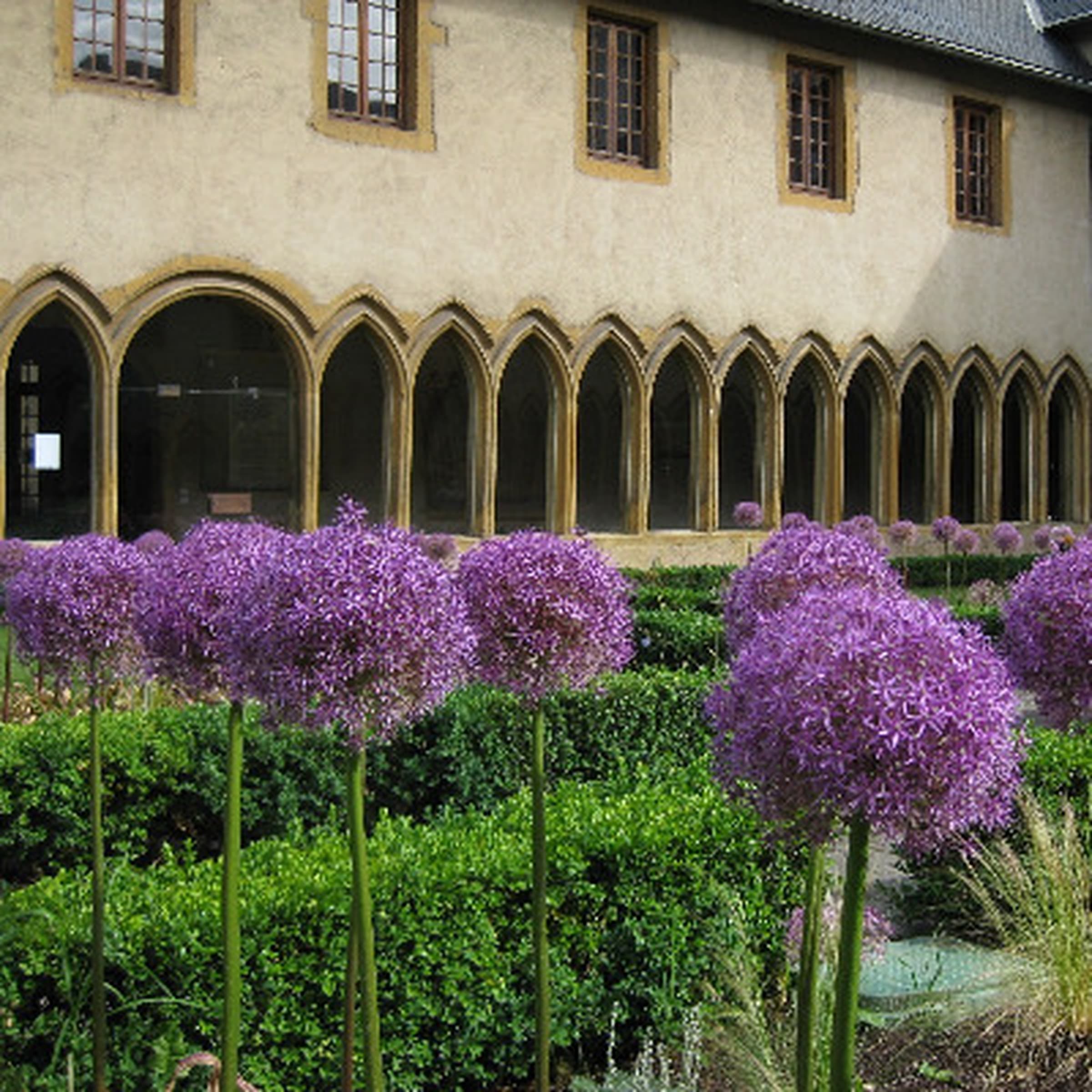 Atelier - Les P'tits Récollets