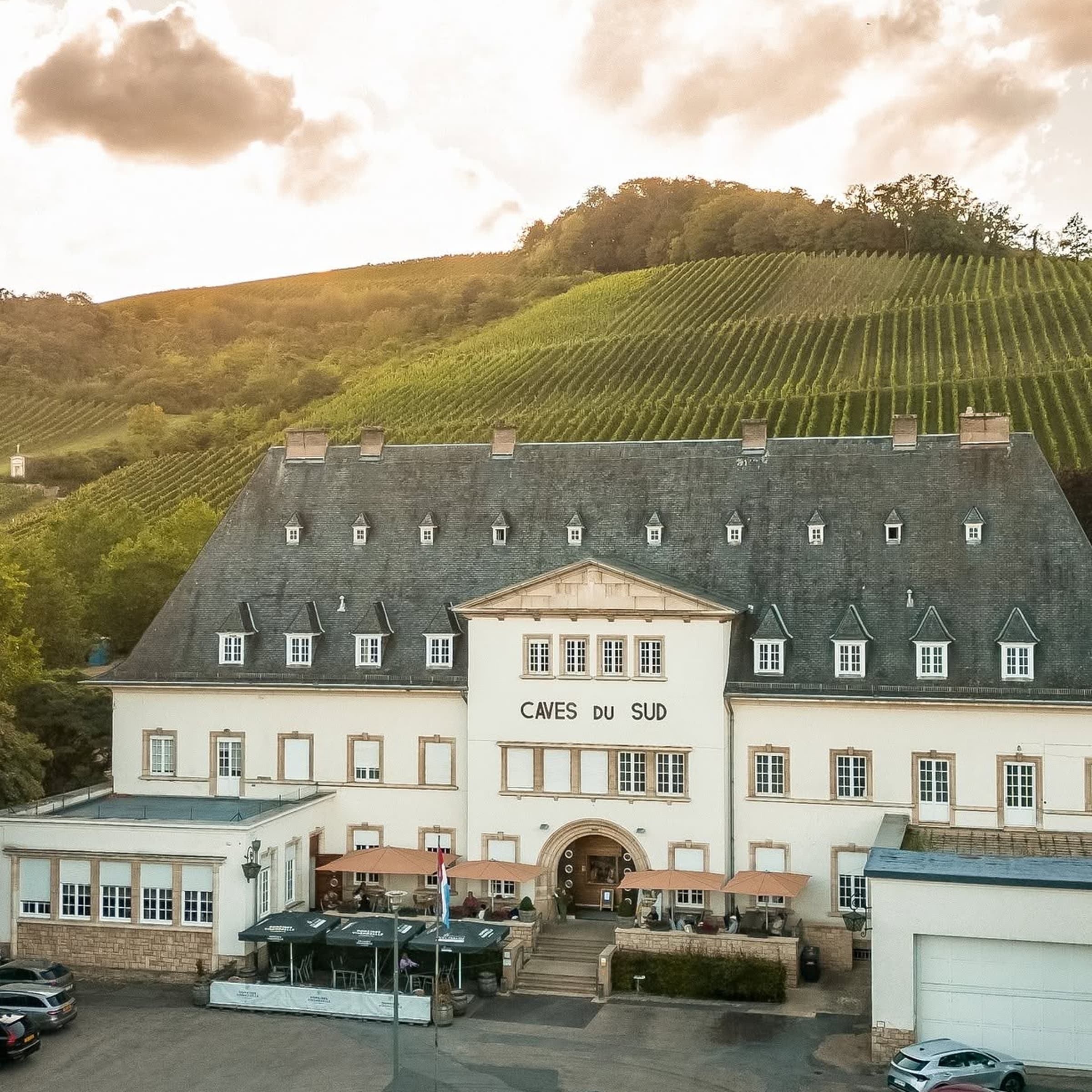 Afterwork au coeur des vignes