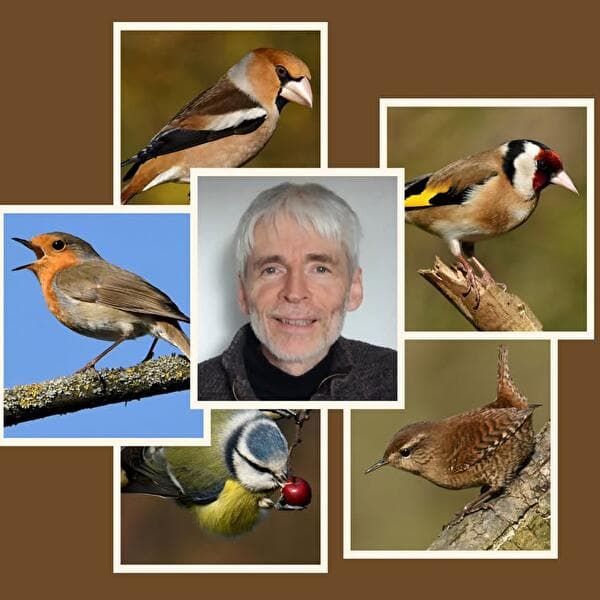 Conférence « Les oiseaux du jardin »