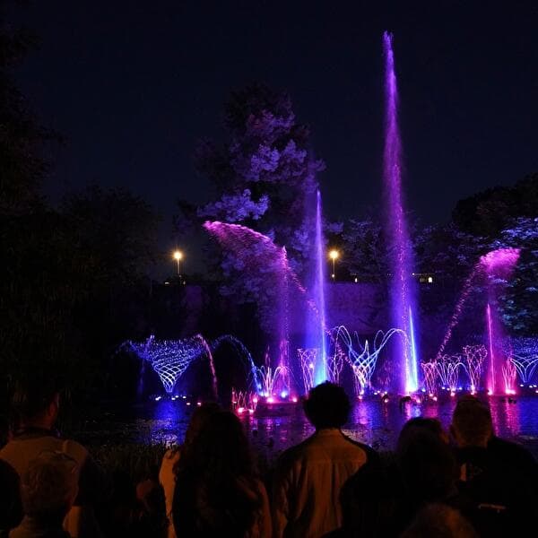 The Dancing Fountains