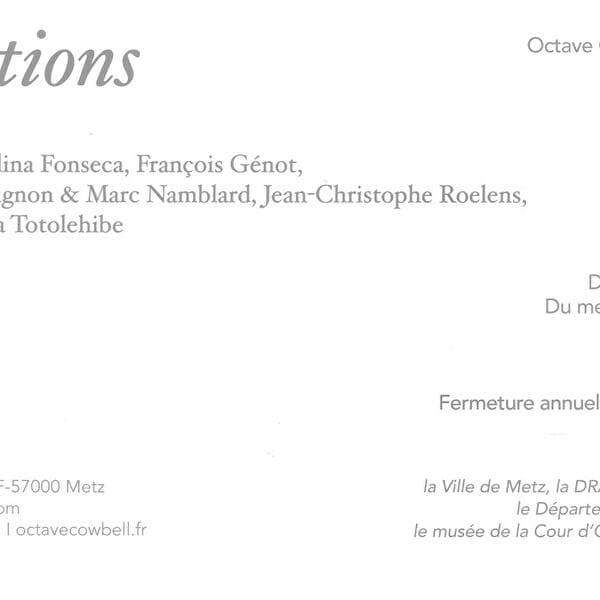 Exhibition - Murmurations