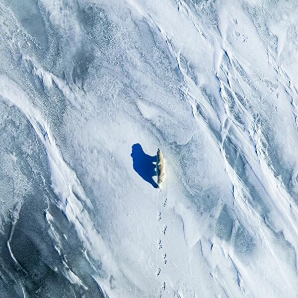 Arctic Confluences
