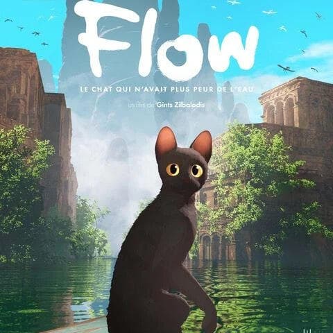 Flow - Cinéma en plein air