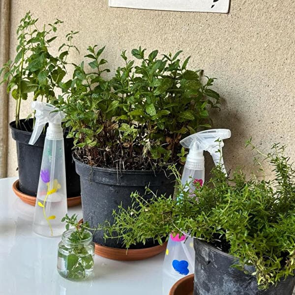 Atelier ado adultes Prenez-en de la graine