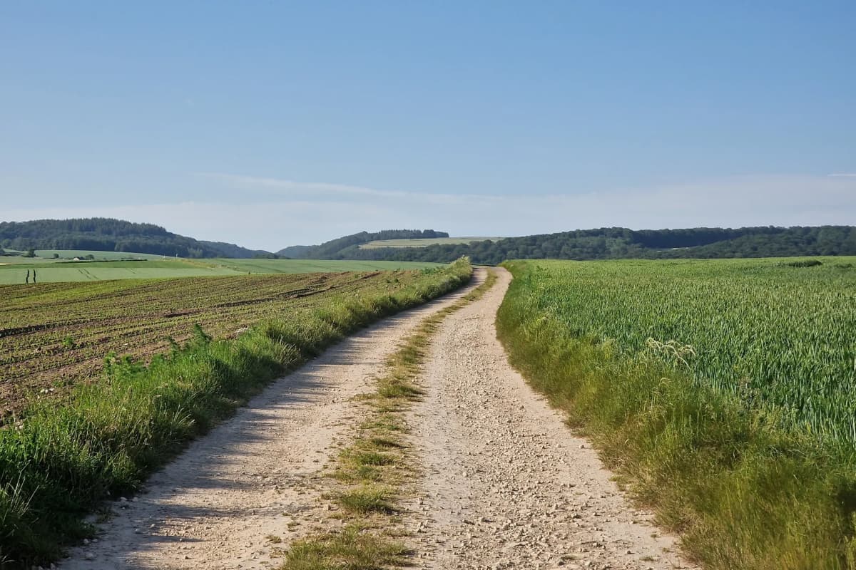 Attert Cycle Track (PC 12) - 4