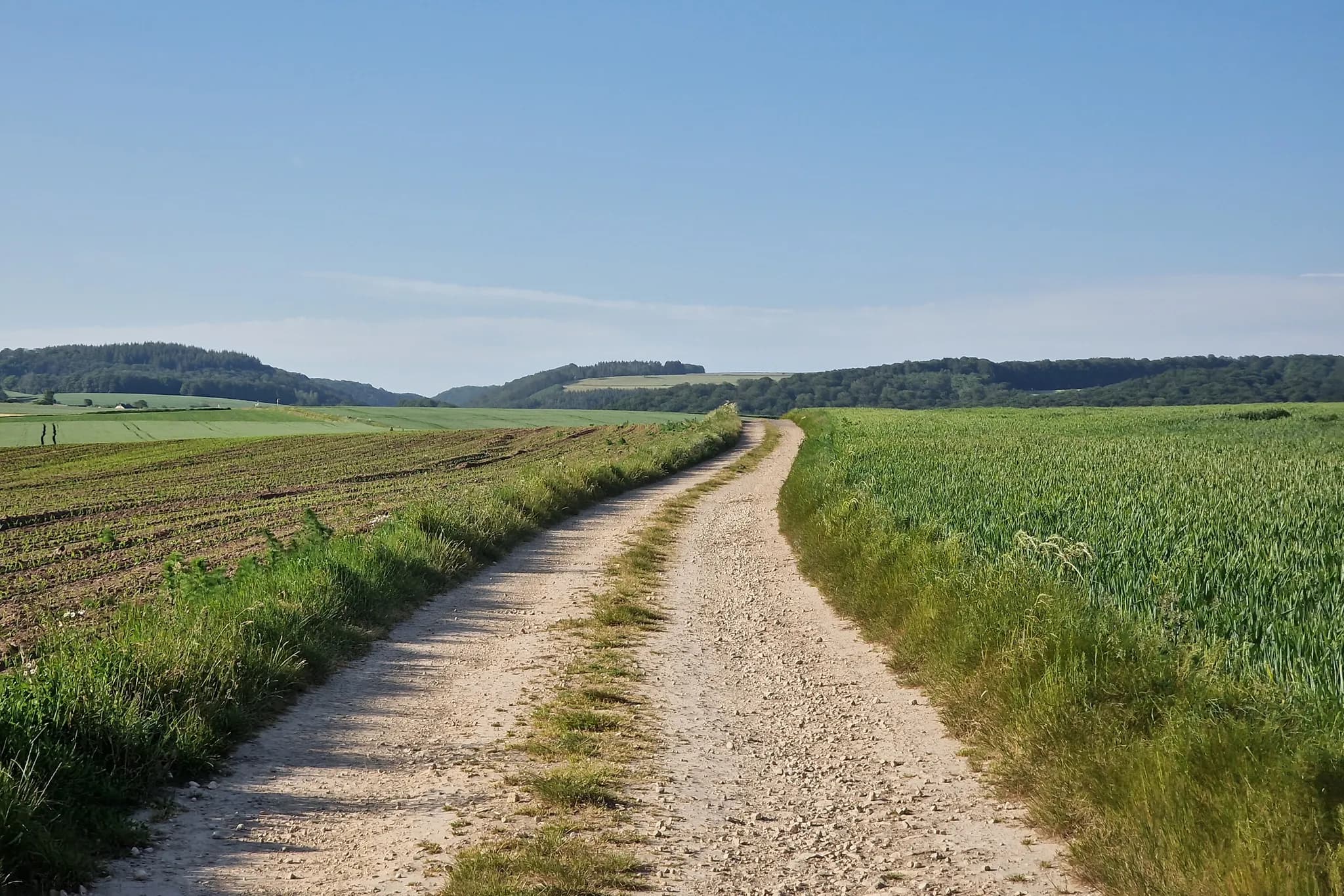 Attert Cycle Track (PC 12) - 4