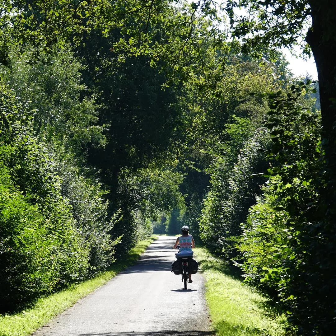 Attert Cycle Track (PC 12) - 1