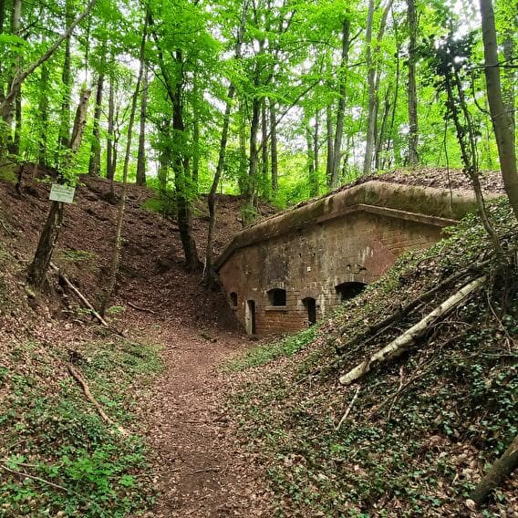 Hiking and history