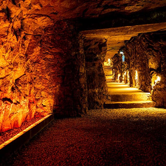 An underground adventure